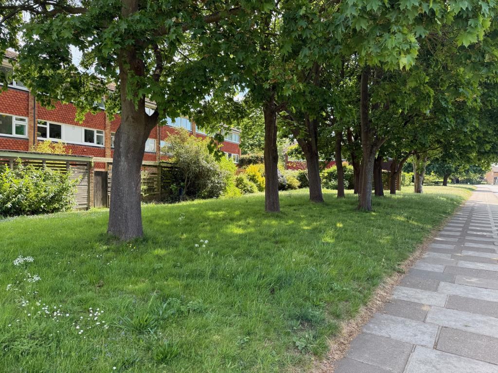 Lot: 44 - FREEHOLD PARCEL OF LAND - Land alongside Riverside Drive near Teddington Lock